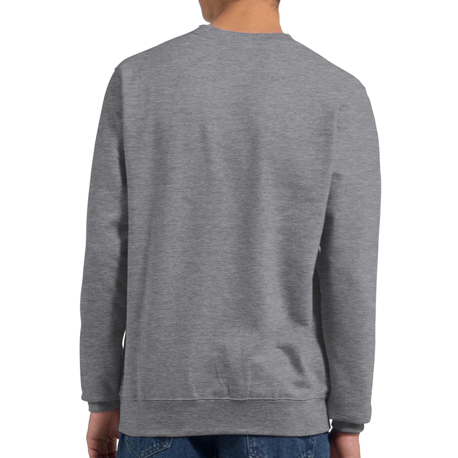 Snygg Sweatshirt för vinnaren, sett bakifrån med grå design och avslappnad stil.