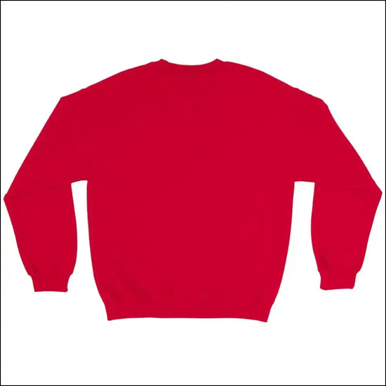 Fitnesströja med kvinnlig figur - Mälardalen träningskläder - Sweatshirt