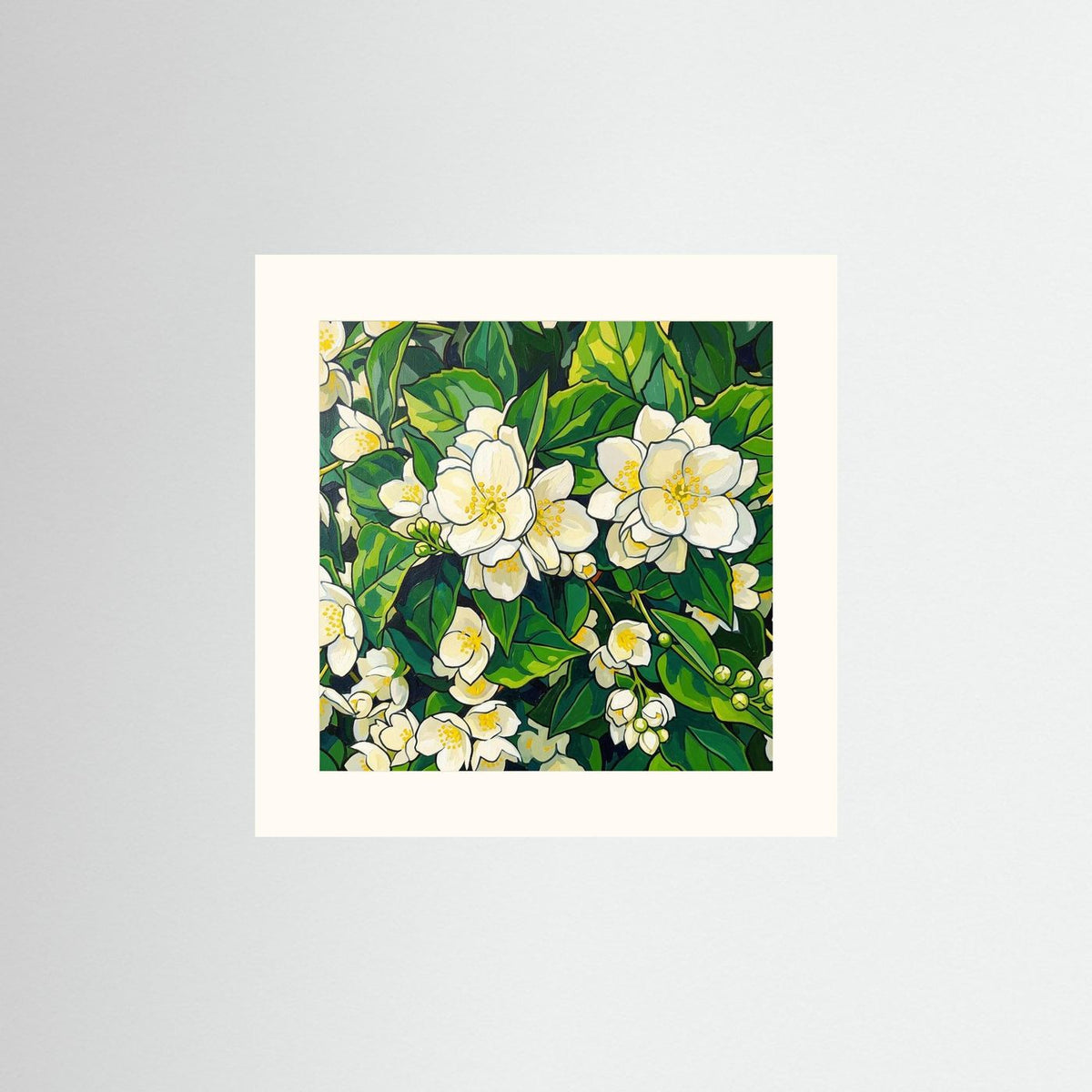 Flowering Jasmine Illustration - Botanical Fine Art Print