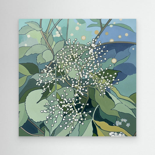 Scandinavian Elderflower Canvas