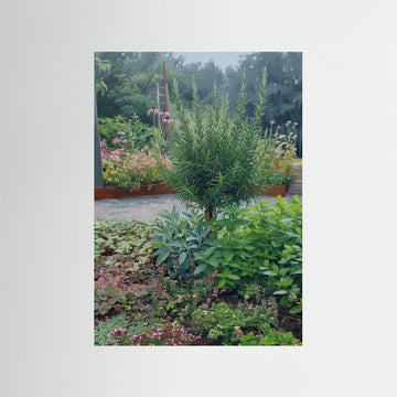 Herb Garden Botanical Poster – Rosemary & Herbs Plants Wall Art