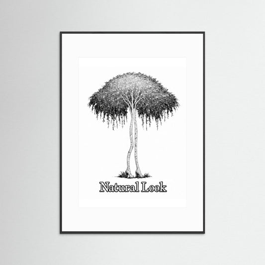 Birch Trees Drawing – Surreal Black & White Art Print