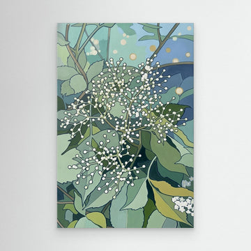 Elderflower Soft Bloom Cluster - Canvas