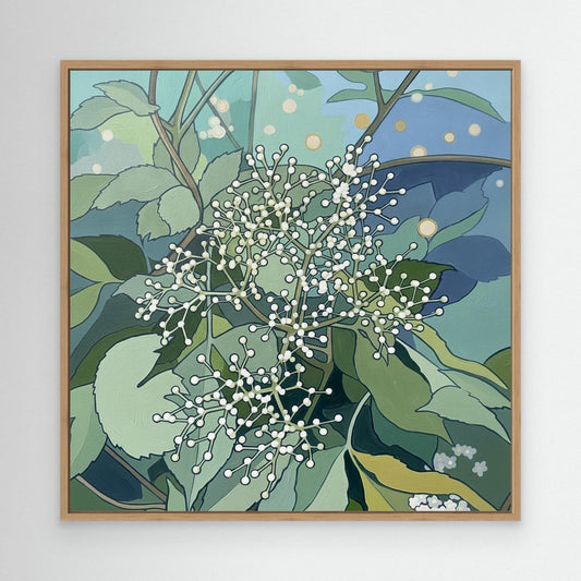 Scandinavian Elderflower Canvas