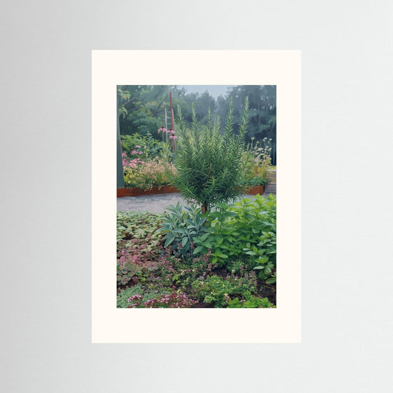 Herb Garden Botanical Poster – Rosemary & Herbs Plants Wall Art