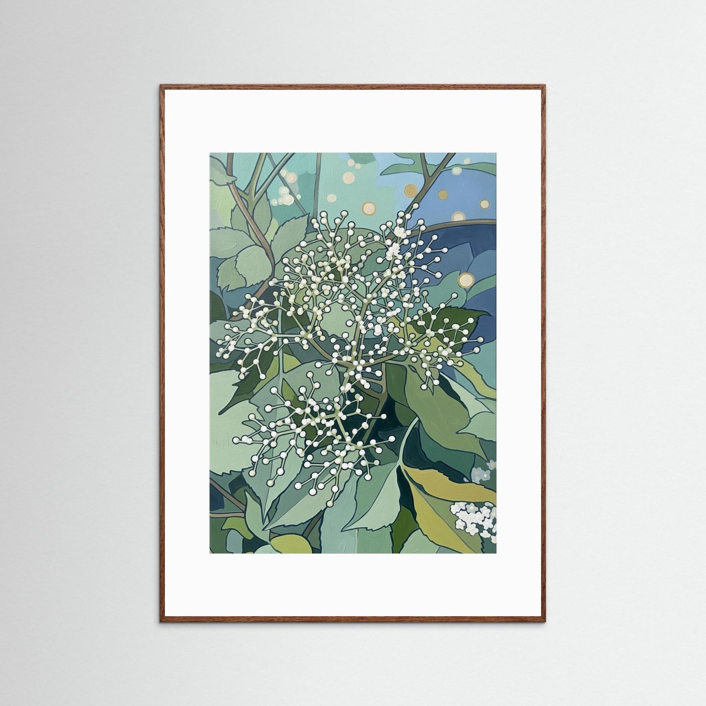 Elderflower Pre‑Bloom Cluster