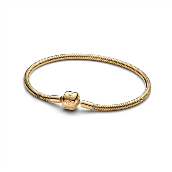 Armband med Snake Bone-Länk - Berlockarmband av Silver