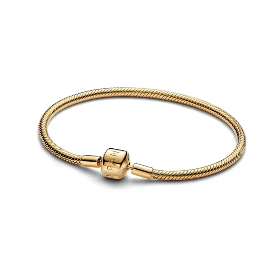 Armband med Snake Bone-Länk - Berlockarmband av Silver
